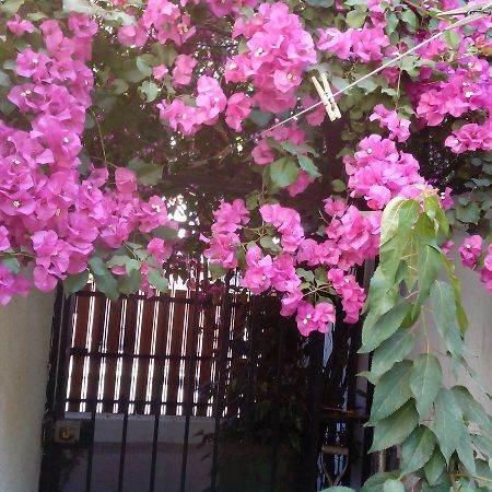 Alojamiento Alberto Magno Bed and Breakfast Santiago de Chile Exterior foto